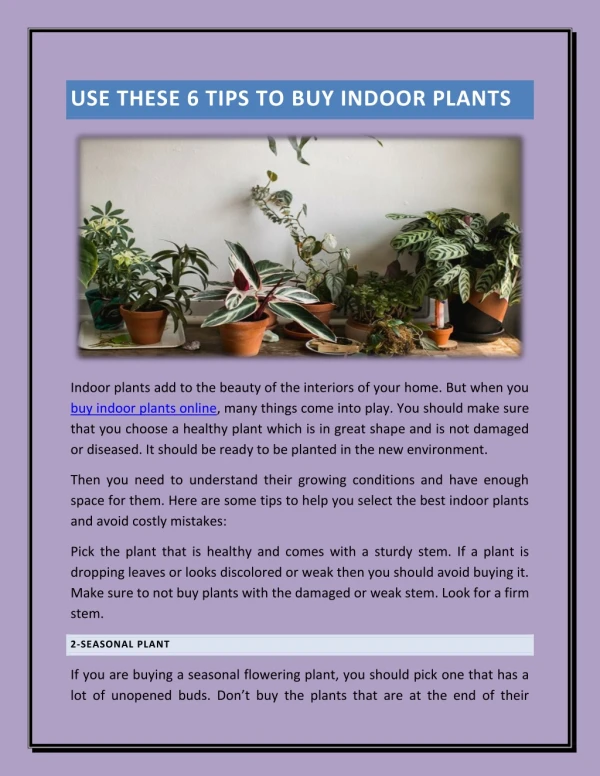 Use these 6 Tips to Buy Indoor Plants