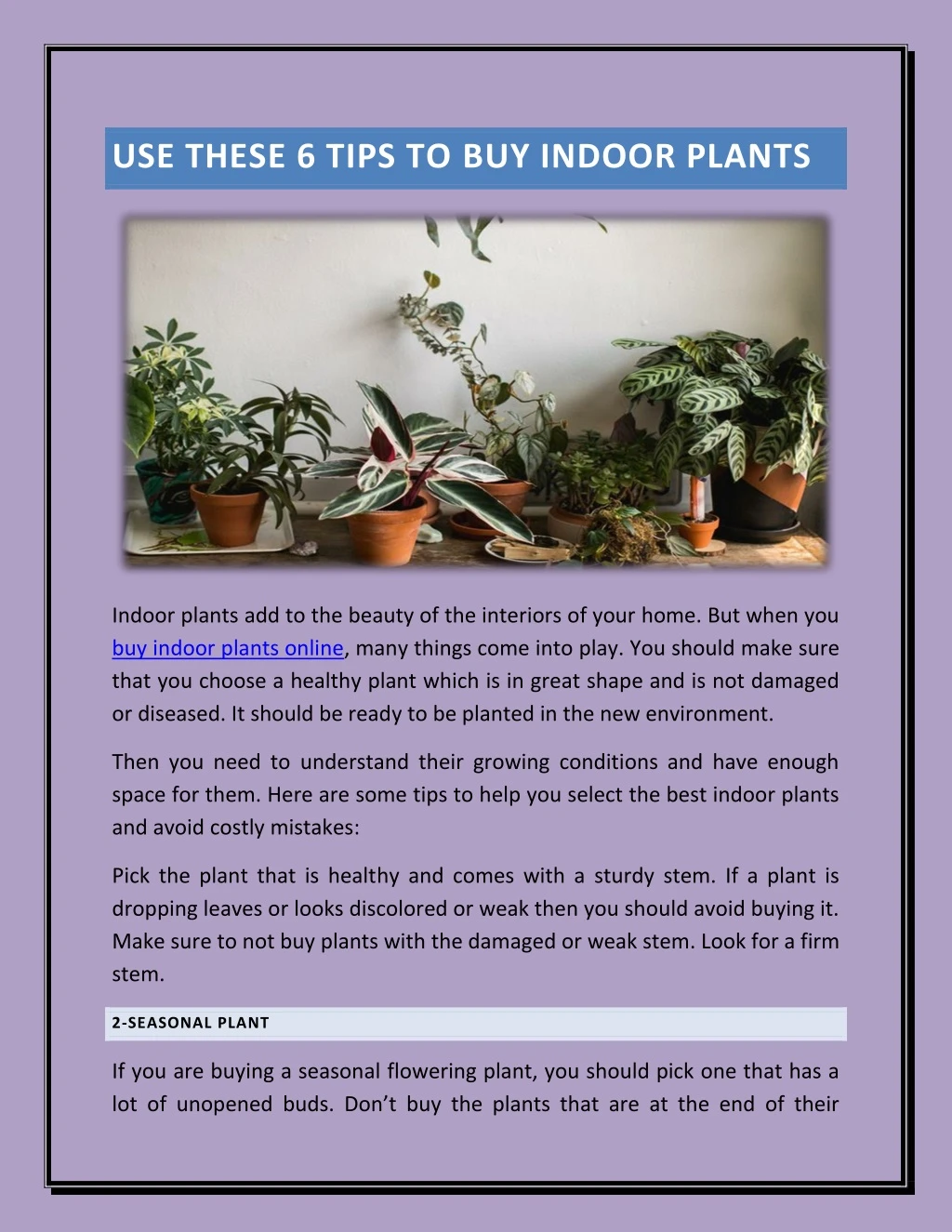 use these 6 tips to buy indoor plants