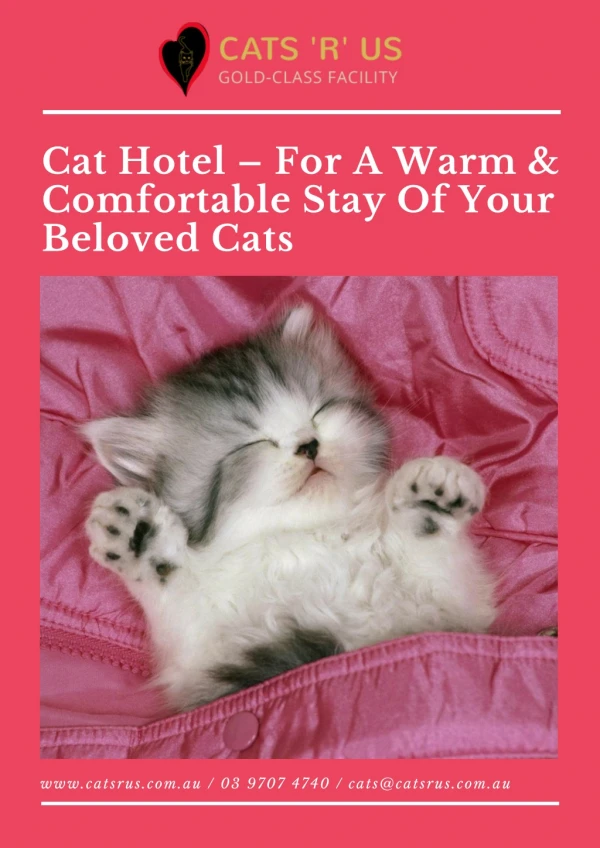 Cat Hotel – For A Warm & Comfortable Stay Of Your Beloved Cats