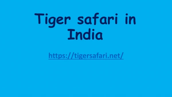 Tiger safari in India