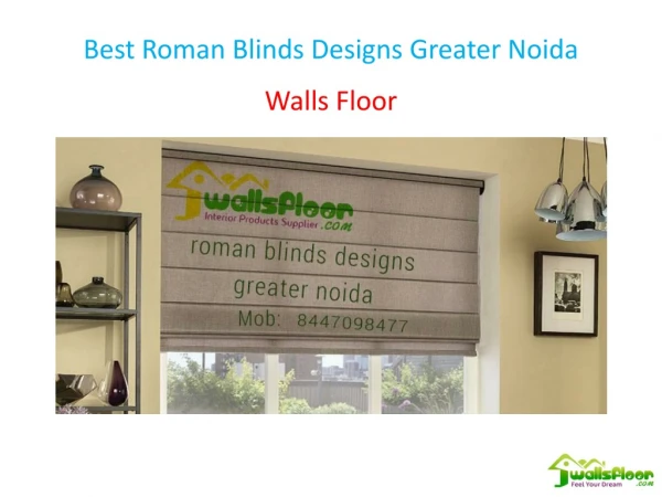 Best Roman Blinds Designs Greater Noida