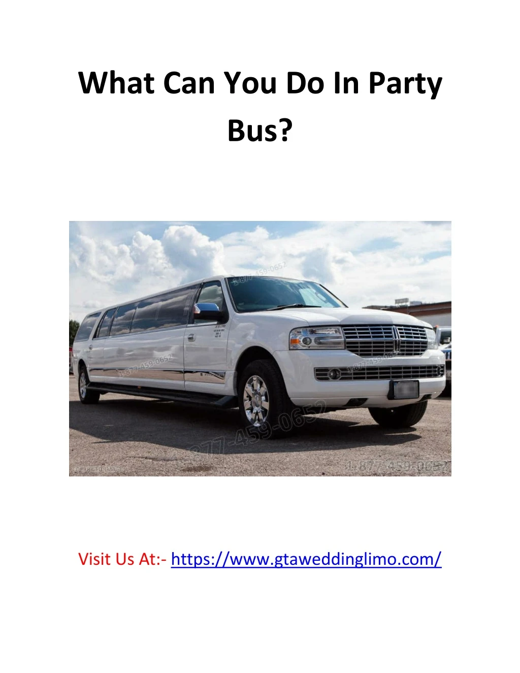 what can you do in party bus