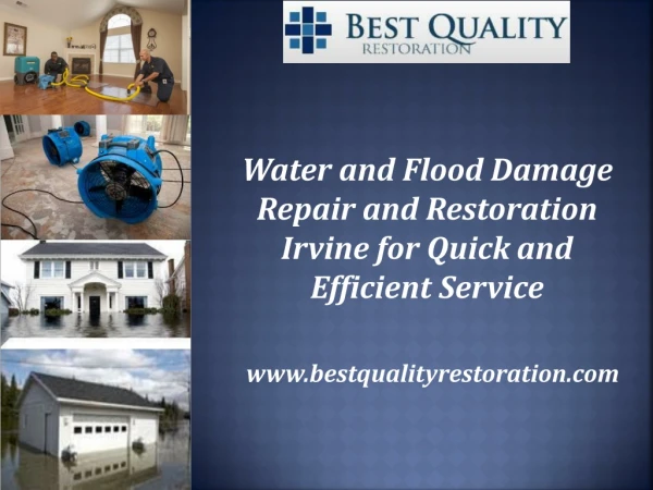 Water and Flood Damage Repair