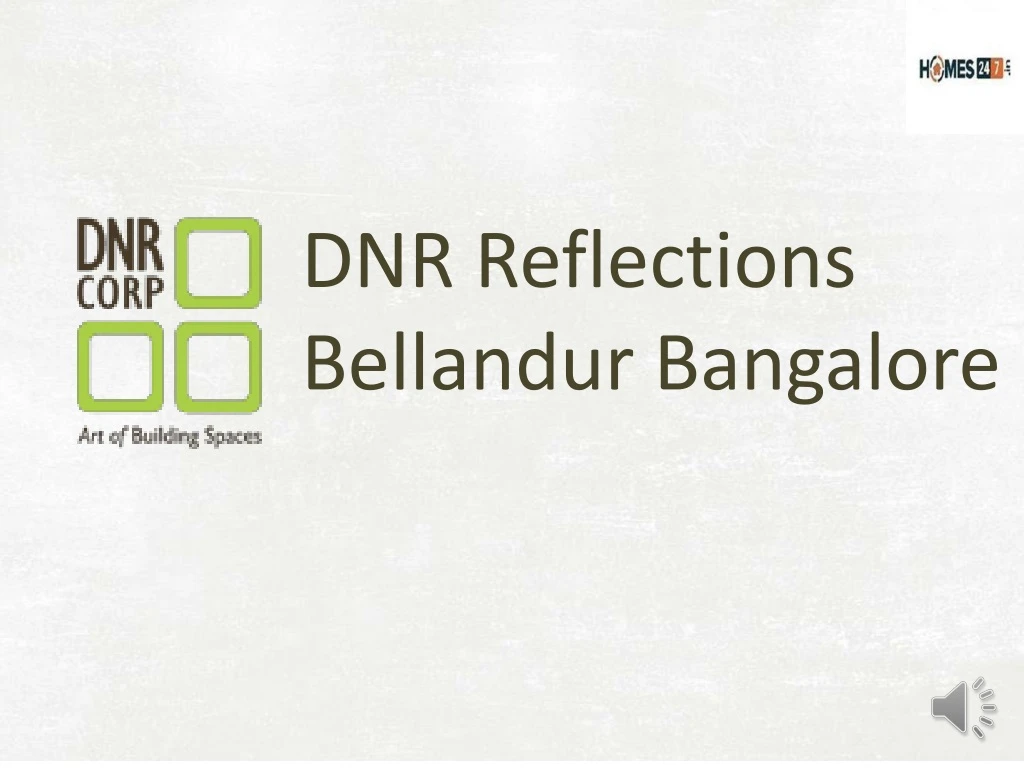 dnr reflections bellandur b angalore