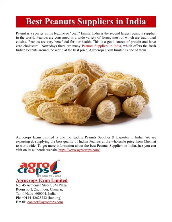 best peanuts suppliers in india
