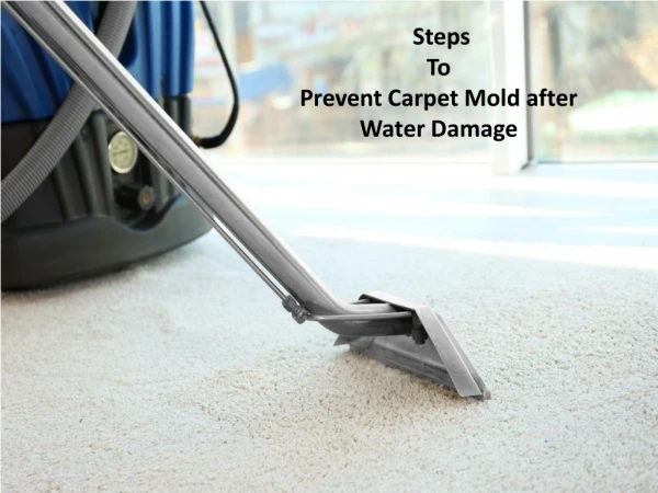 Steps to Prevent Carpet Mold after Water Damage