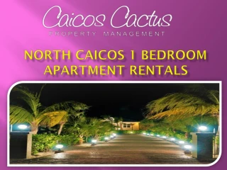 North Caicos 1 Bedroom Apartment Rentals