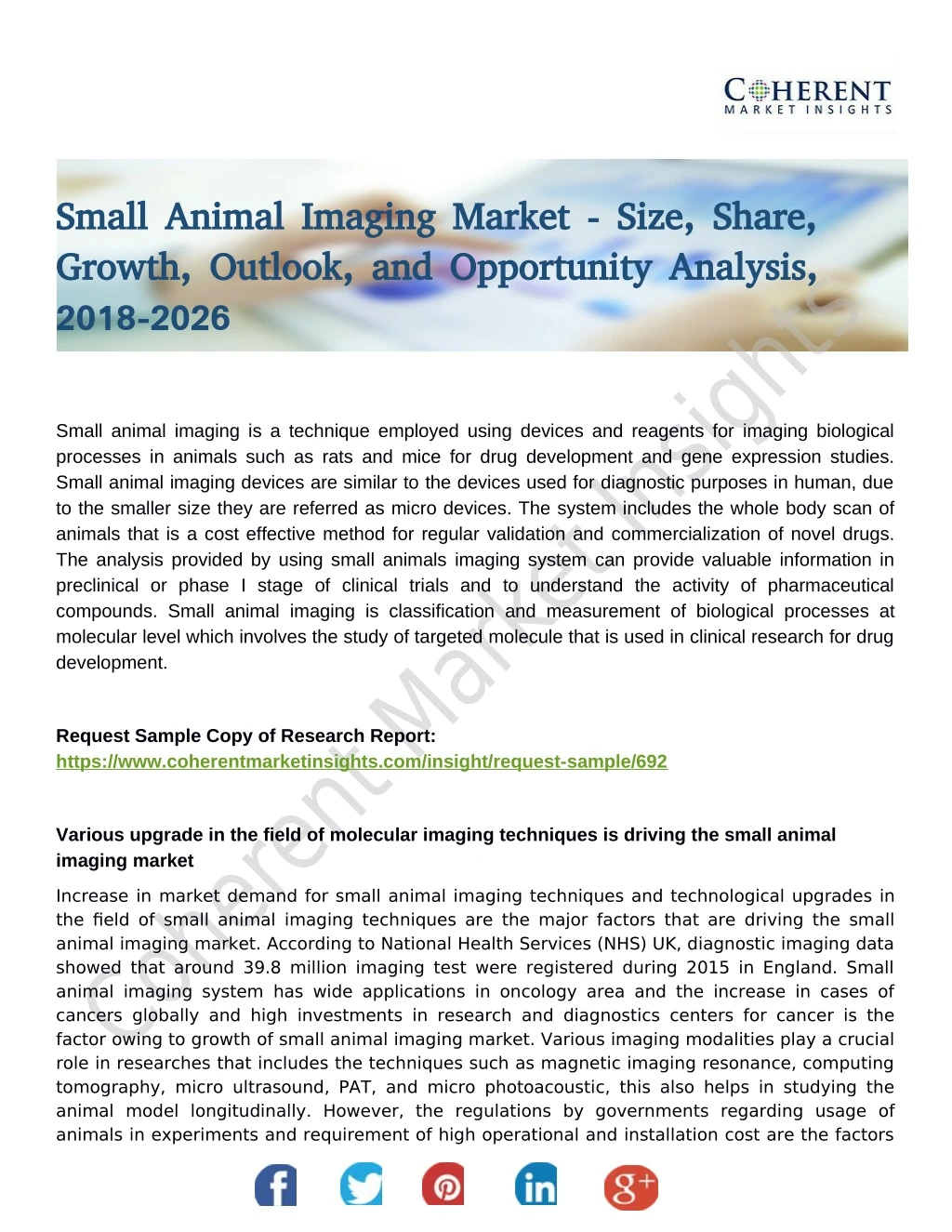 small animal imaging market size share small