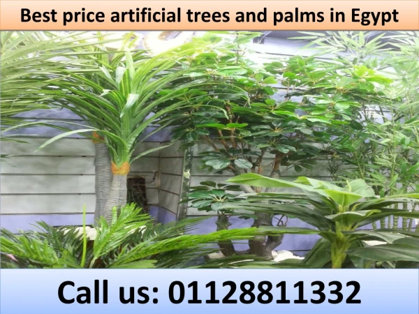 Best price artificial trees and palms in Egypt