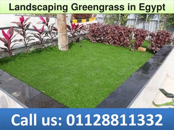 Landscaping Greengrass in Egypt