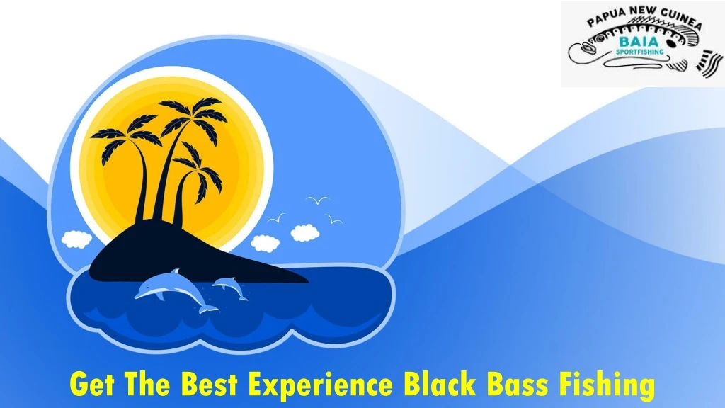 get the best experience black bass fishing