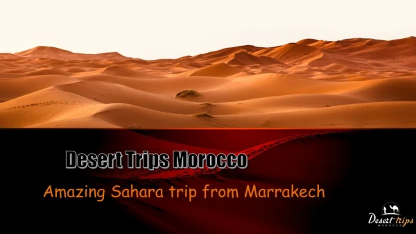 Plan a Desert Trips Morocco From Marrakech