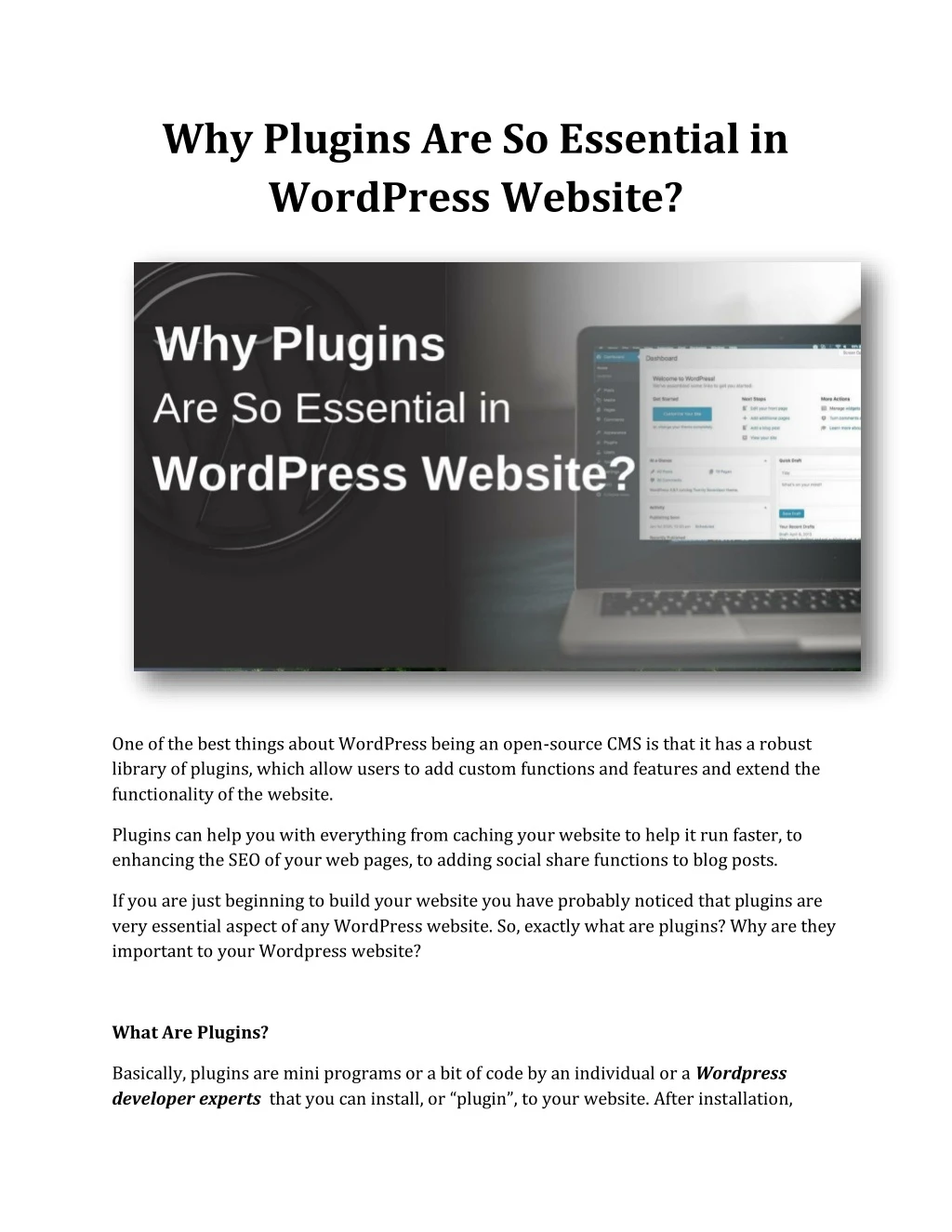 why plugins are so essential in wordpress website