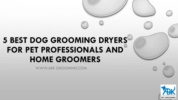 5 Best Dog Grooming Dryers for Pet Professionals and Home Groomers
