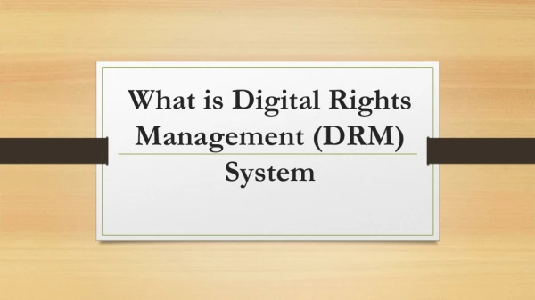 What is Digital Rights Management (DRM) System