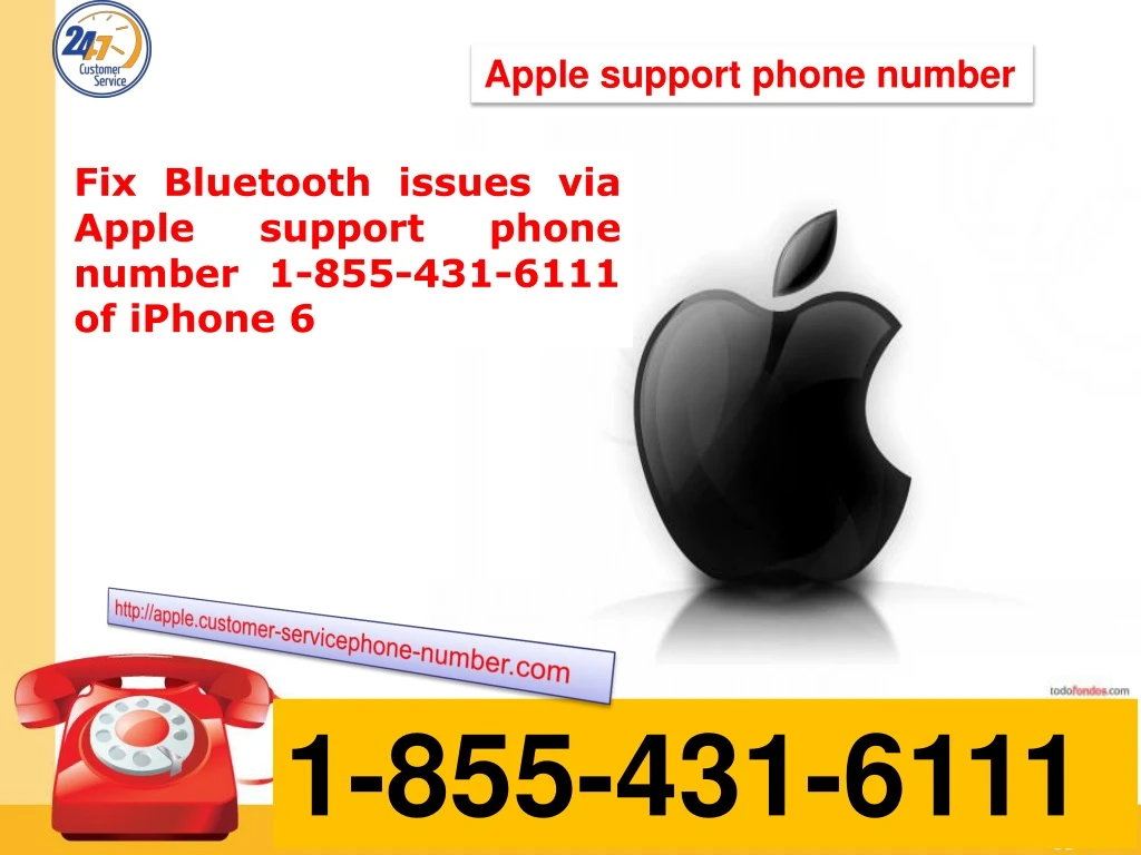 apple support phone number