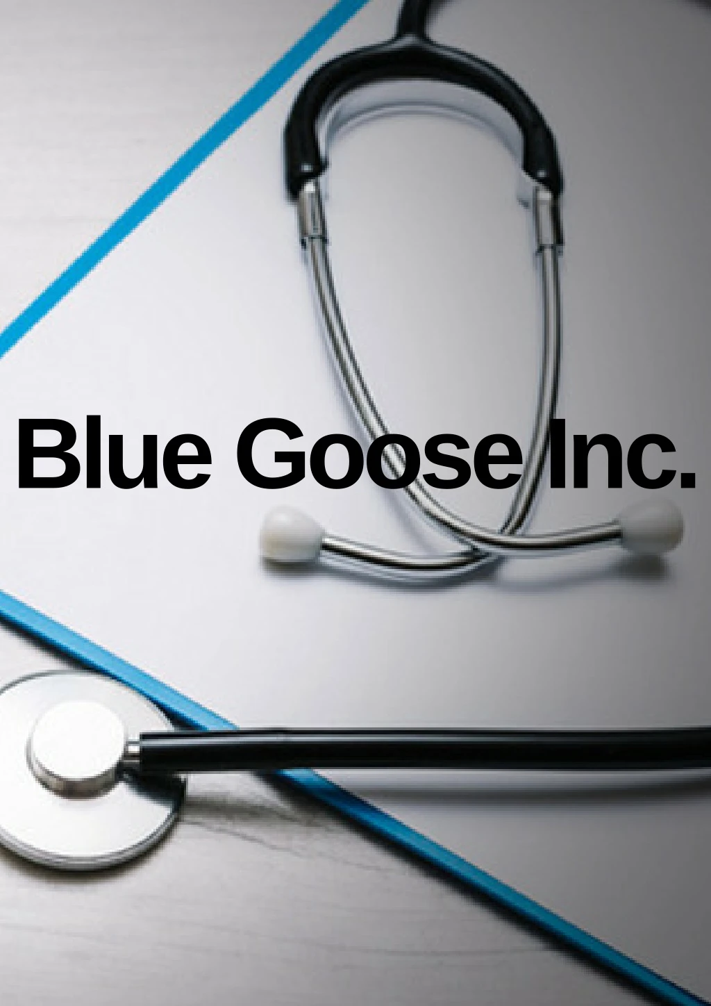blue goose inc