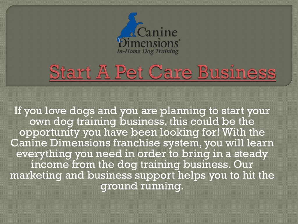 start a pet care business