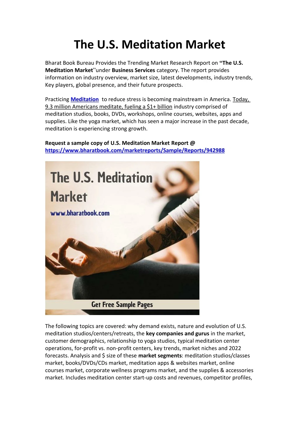 the u s meditation market