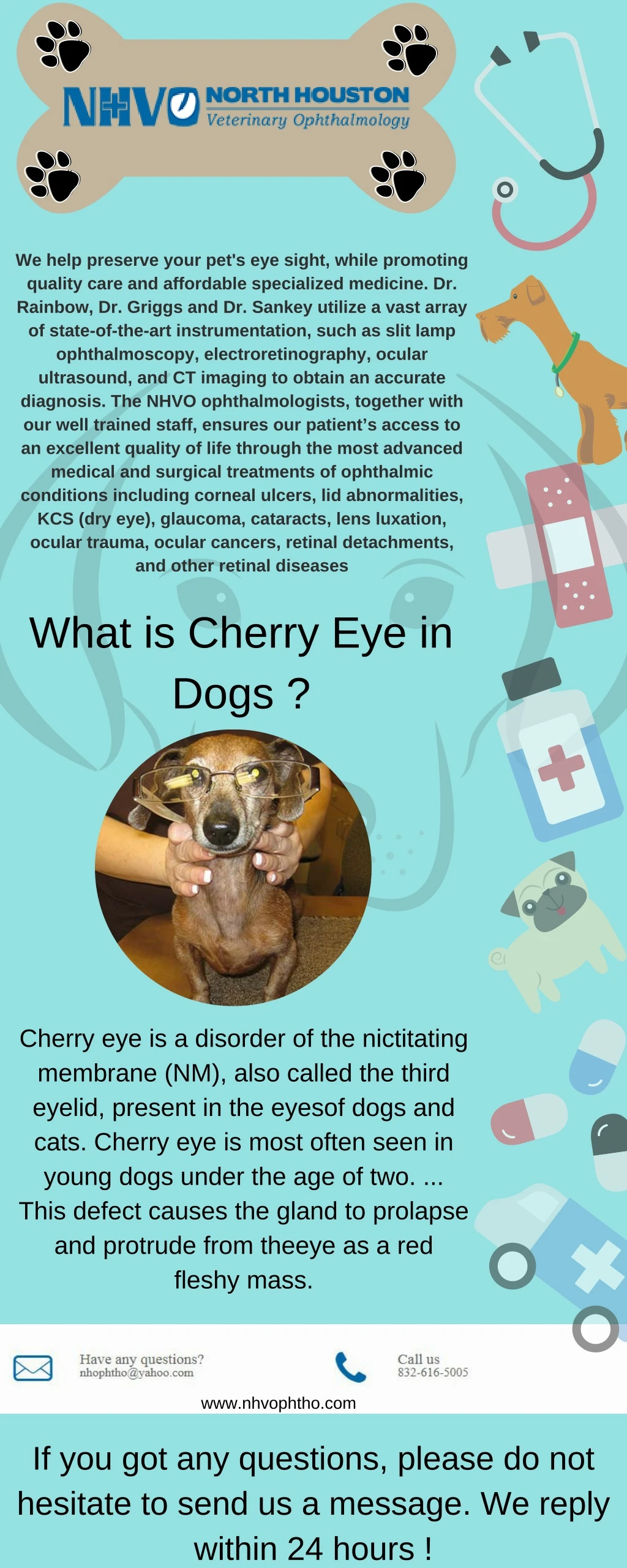 we help preserve your pet s eye sight while