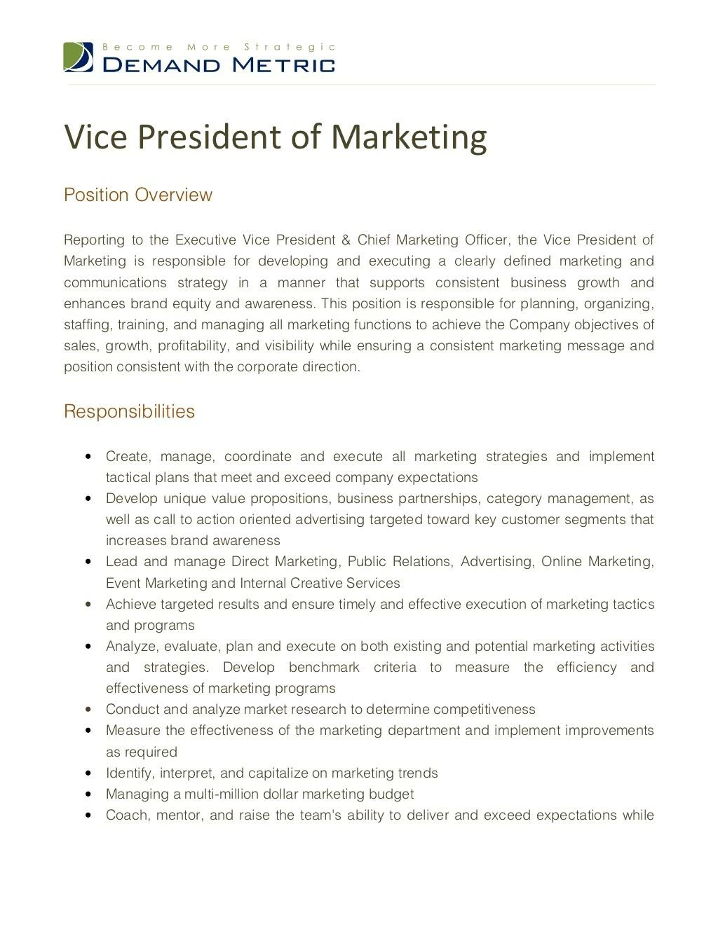 vice president of marketing job description