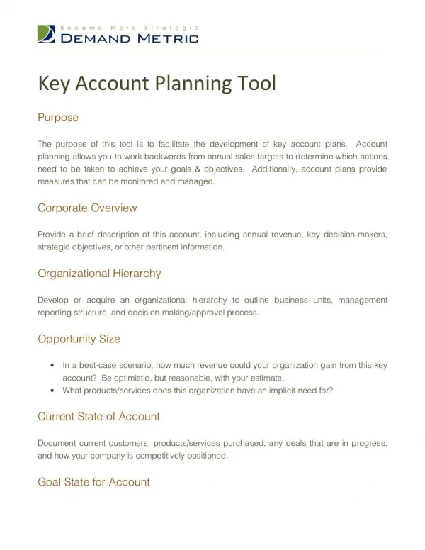 Key Account Planning Tool