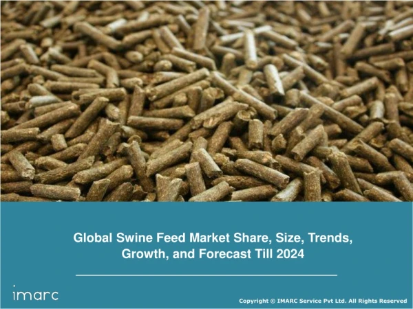 Swine Feed Market: Global Industry Trends, Growth, Share, Size, Region by Demand and Forecast Till 2024