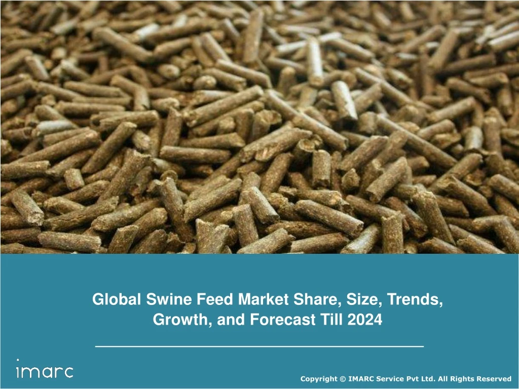 global swine feed market share size trends growth