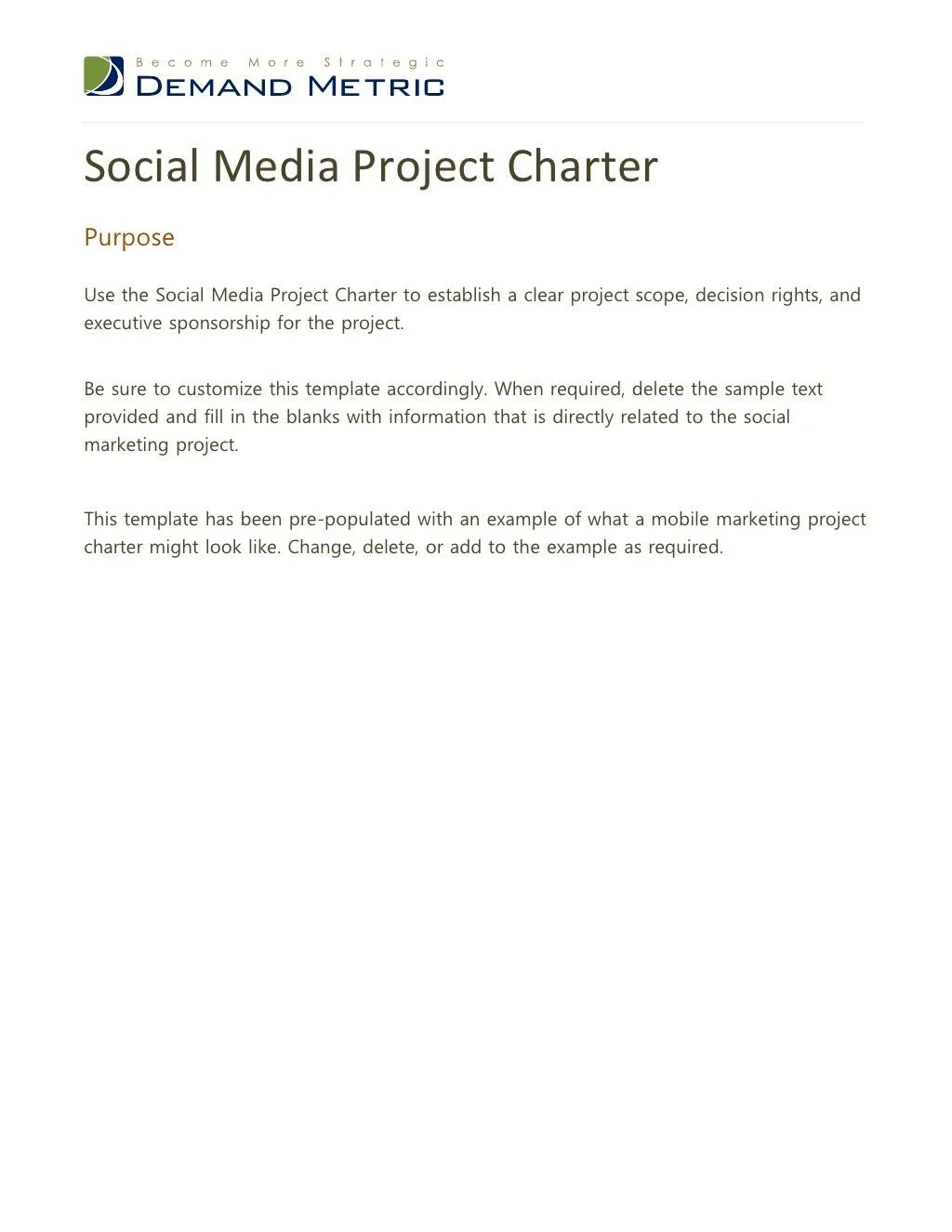 social media project charter template