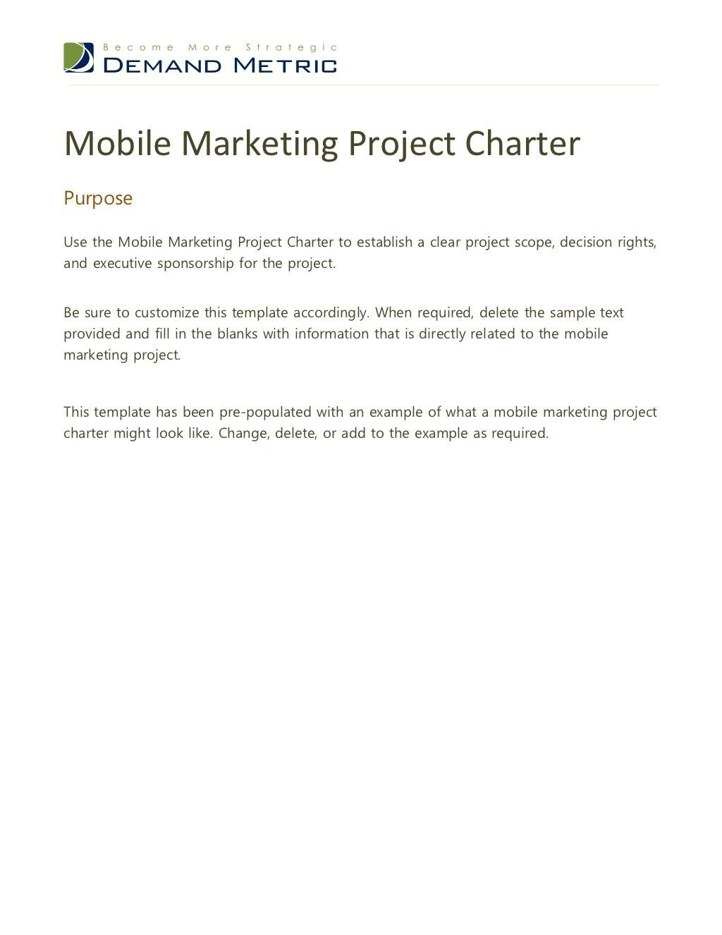 mobile marketing project charter