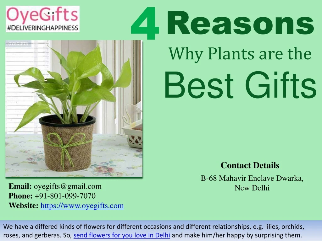 reasons why plants are the best gifts