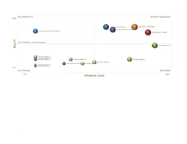 Decision Maker Analysis Matrix