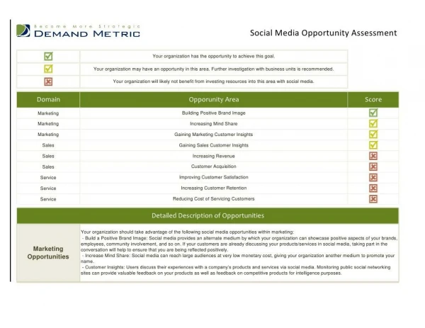 Social Media Opportunity Assessment Tool