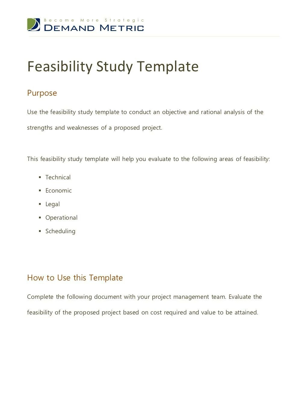 feasibility study template