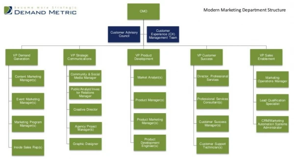 Modern marketing department structure