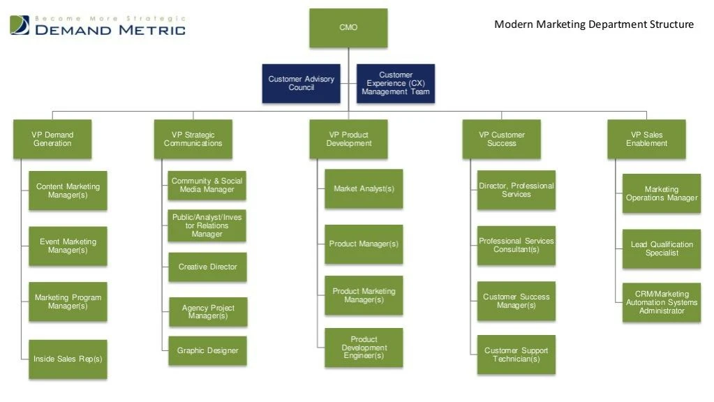 modern marketing department structure