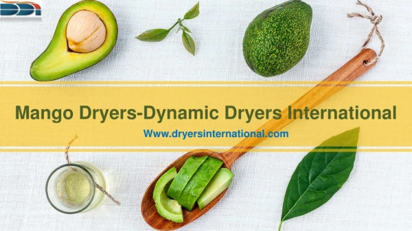 Mango Dryers-Dynamic Dryers International