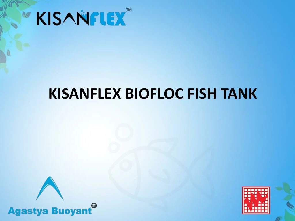 kisanflex biofloc fish tank