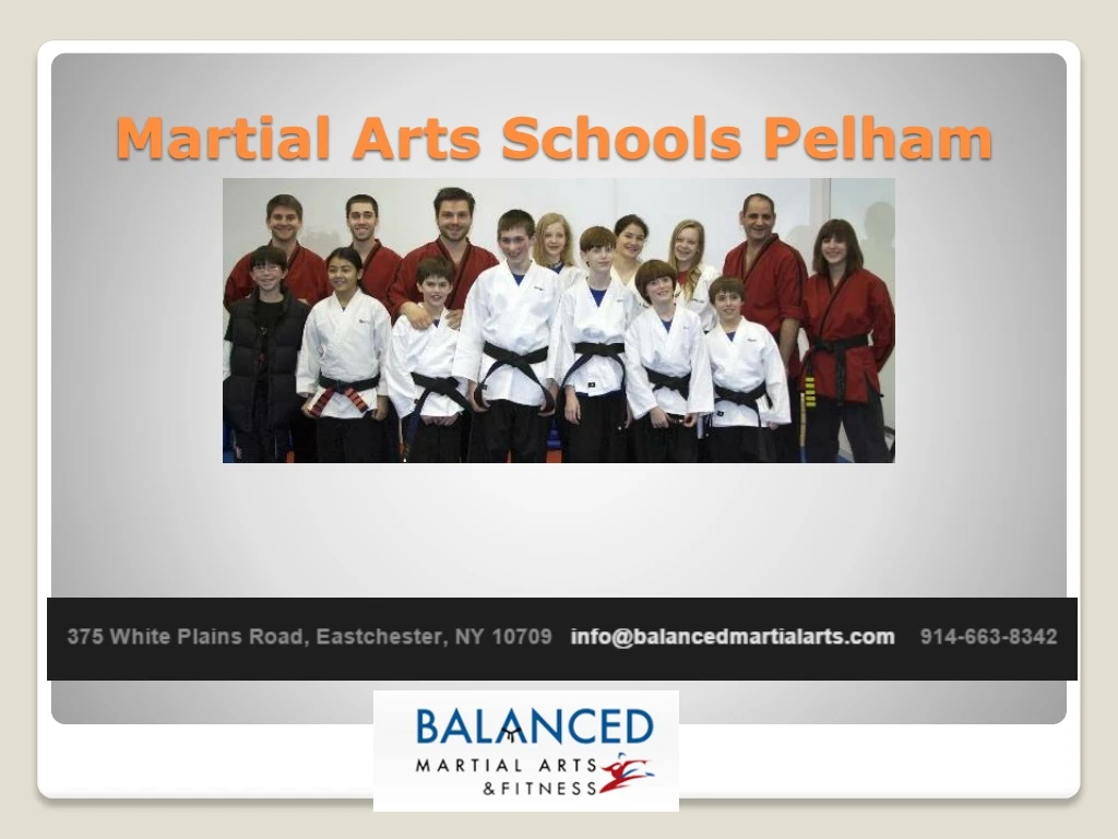 martial arts schools pelham