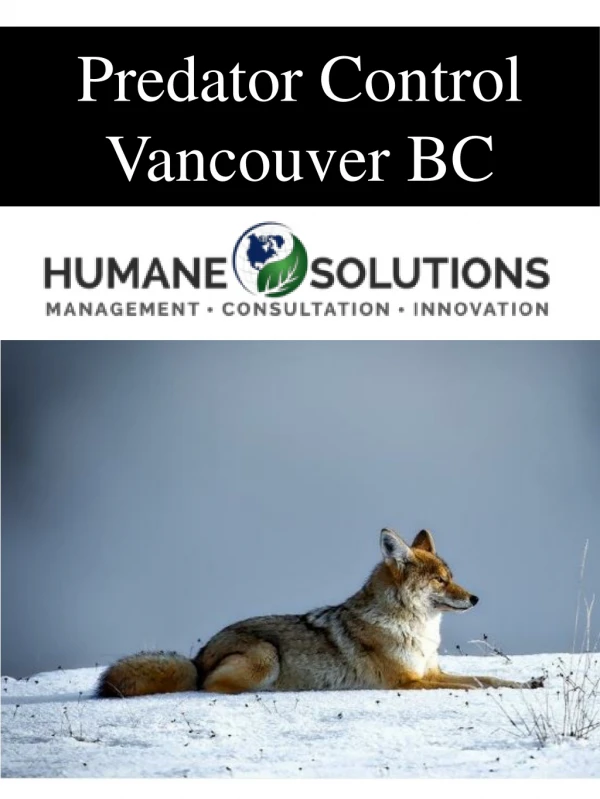 Predator Control Vancouver BC