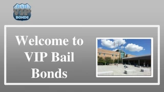 Professional Adams County Bail Bonds Services | VIP Bail Bonds - slide 1