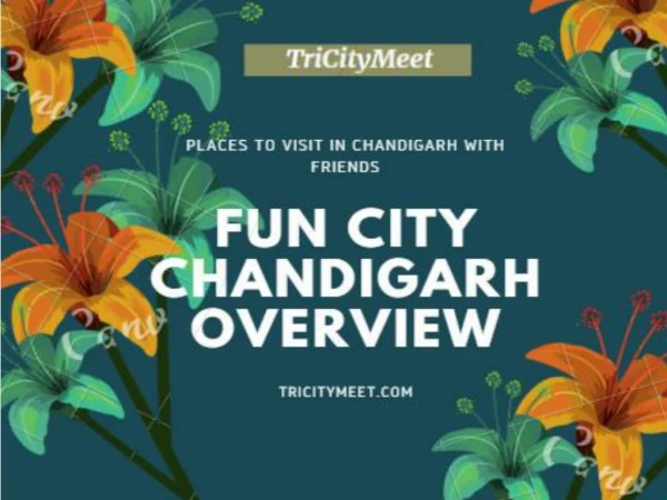 Fun City Chandigarh Overview | tricitymeet.com