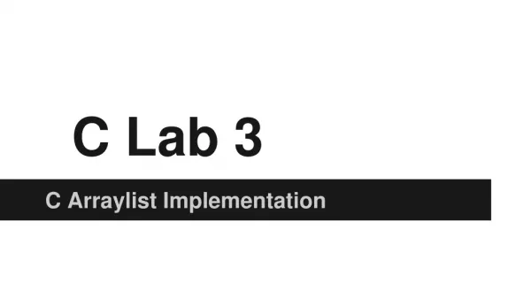 C Lab 3