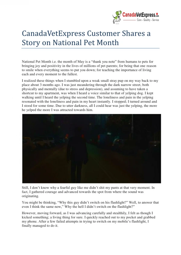 CanadaVetExpress Customer Shares a Story on National Pet Month