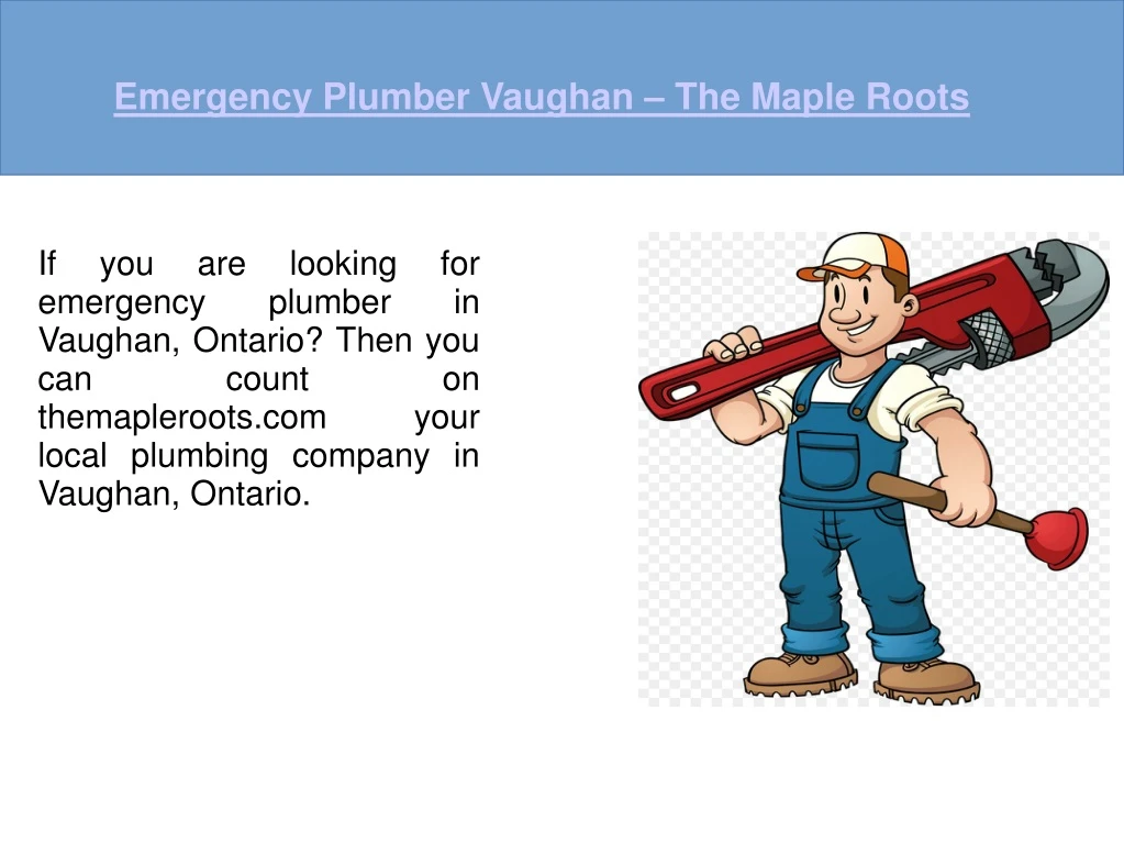 emergency plumber vaughan the maple roots