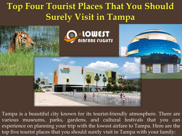 Top Four Tourist Places That You Should Surely Visit in Tampa