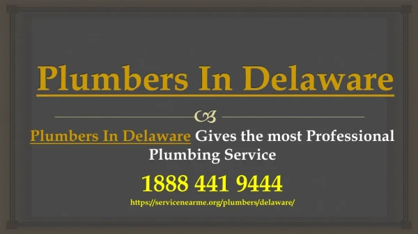 Plumbers In Delaware Gives the most Professional Plumbing Service