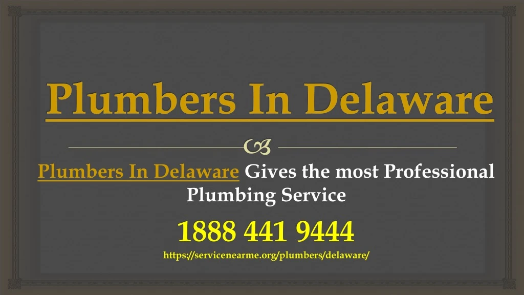 plumbers in delaware gives the most professional