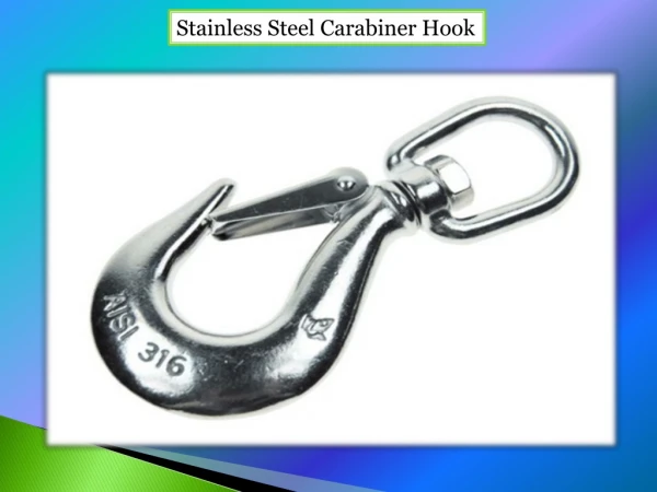 Stainless Steel Carabiner Hook