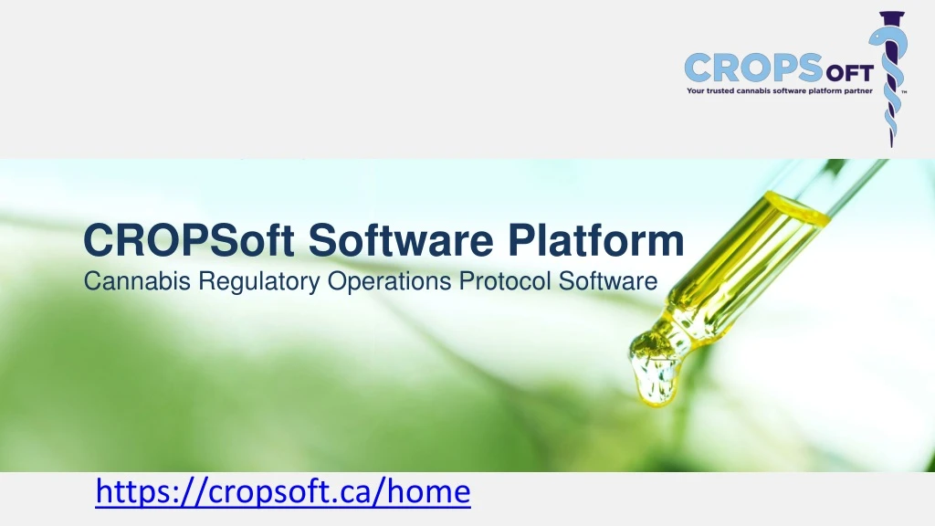 cropsoft software platform